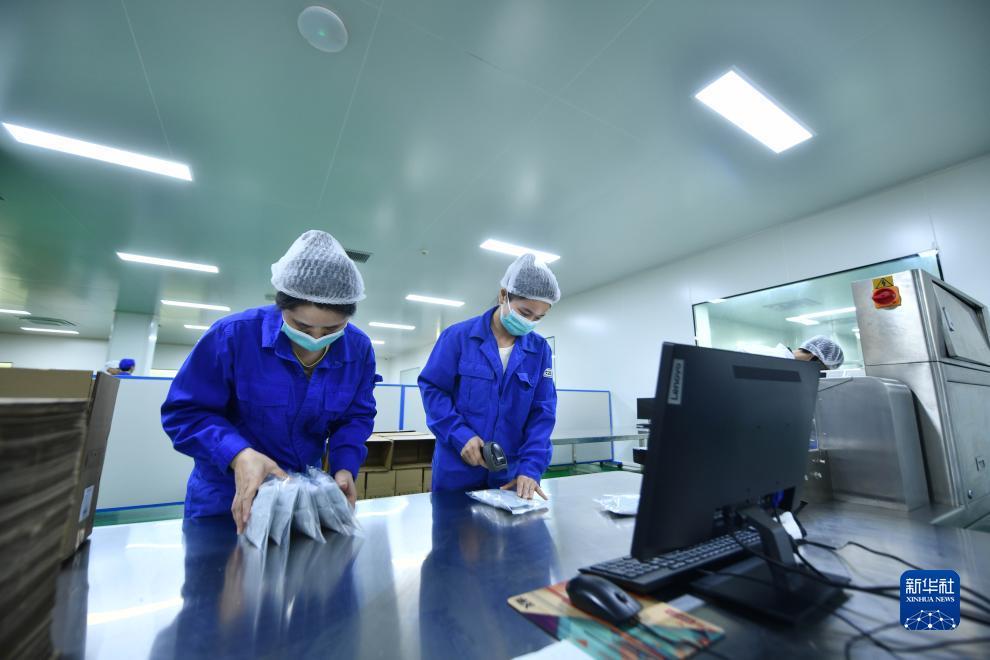 捕鱼大师游戏规则